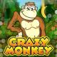 Игровом автомат Crazy Monkey - играть в слот на деньги и демо